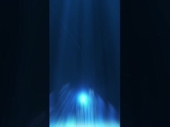 Emballage d'entrepôt (1)